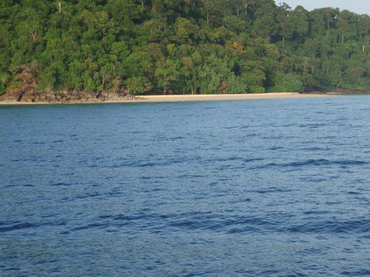 Anaconda hp 116.jpg